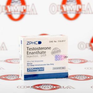 Testosterone Enanthate 250 mg ZPHC